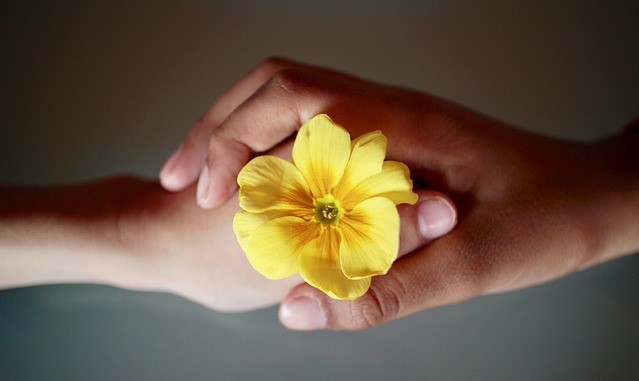 Hands from two people holding a yellow flower together