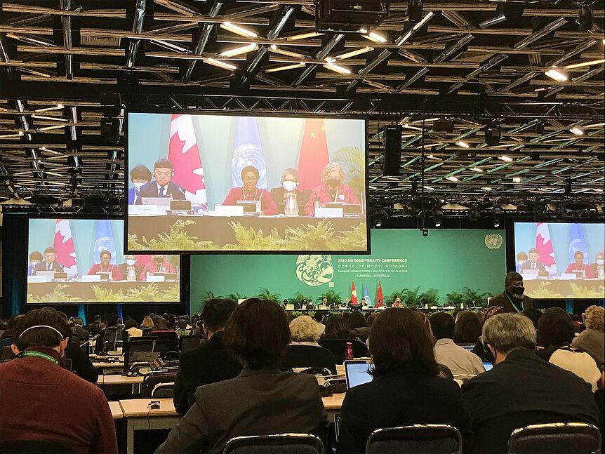 Opening plenary of the CBD COP 15.2. Source: own ethnographic data
